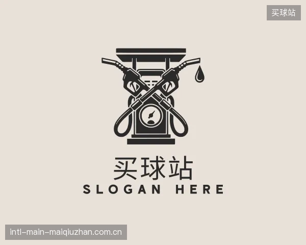 介绍买球站公司